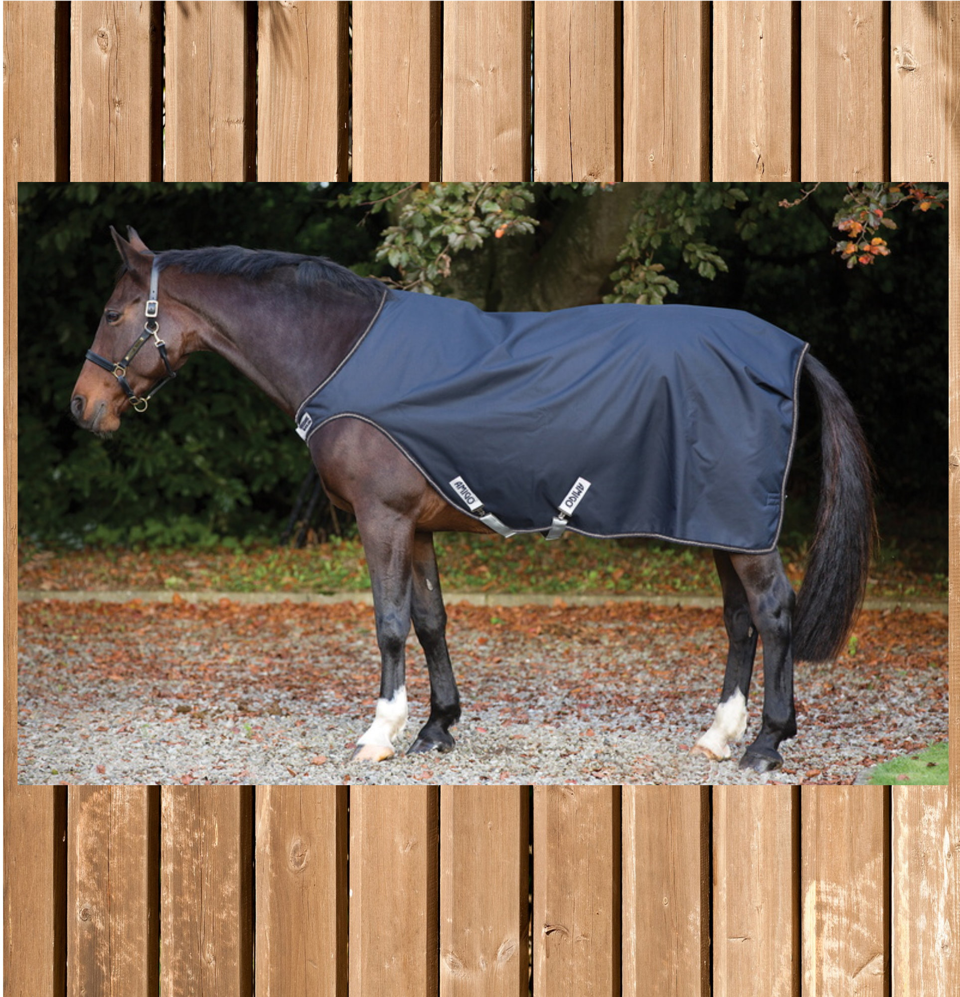 Horseware Amigo Walker 100 g, Führmaschinendecke, navy